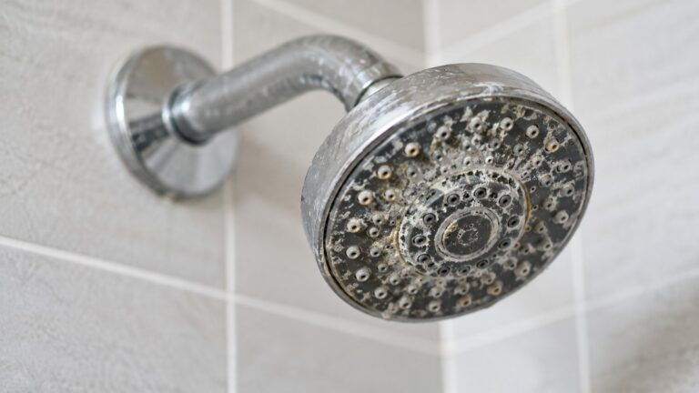 Why Shower Heads Get Mineral Buildup
